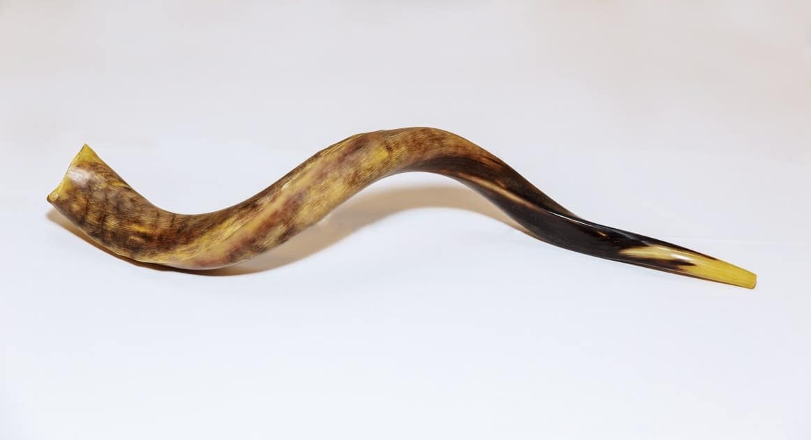 Using A Mitzva Object Without Owners Permission – Example Case Of Shofar [#50]